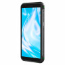 Blackview BV5100
